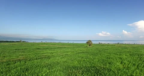 Rainforest ecosystem and healthy environment concept and backgroun Stock Footage 149942162