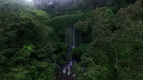 Rainforest ecosystem and healthy environ... | Stock Video | Pond5