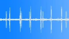 Rainforest evening muggy with some loud bird shouts HD 24Bits/96KHz Sound Effect