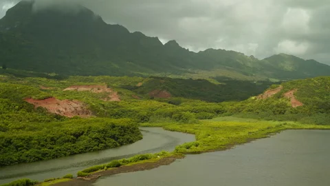 Rainforest Stock Footage 245577268