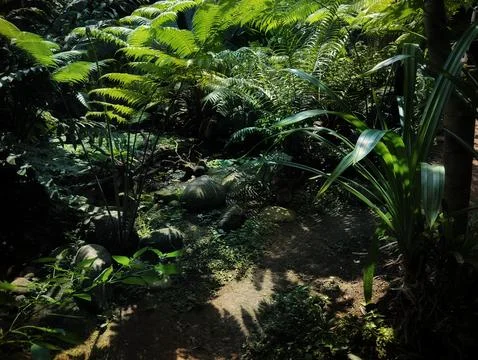 Rainforest garden Stock Photos