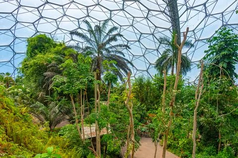 Rainforest at Greenhouse complex at Eden project in Cornwall, England Stock Photos