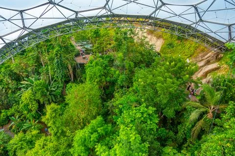 Rainforest at Greenhouse complex at Eden project in Cornwall, England Stock Photos