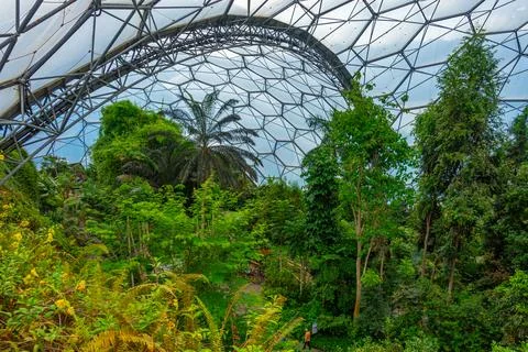 Rainforest at Greenhouse complex at Eden project in Cornwall, England Stock Photos