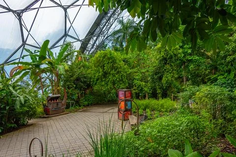 Rainforest at Greenhouse complex at Eden project in Cornwall, England Stock Photos