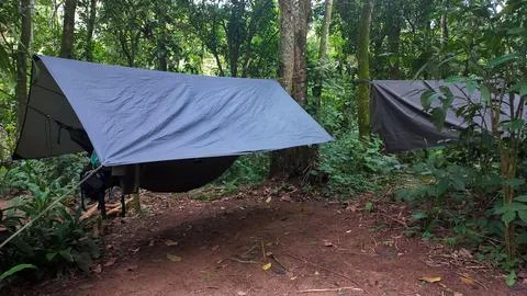 Rainforest Hammock Camp Stock Photos