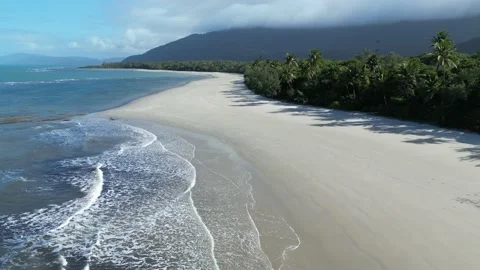 Rainforest hits ocean Video stock 204994993