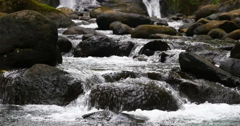 Rainforest Jungle Stream Cascading Water Over And Levels Through River Rocks Stock Footage 137625892