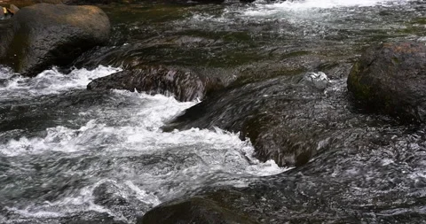 Rainforest Jungle Stream Cascading Water Shapes Flowing Over River Rocks Stock Footage 137625950
