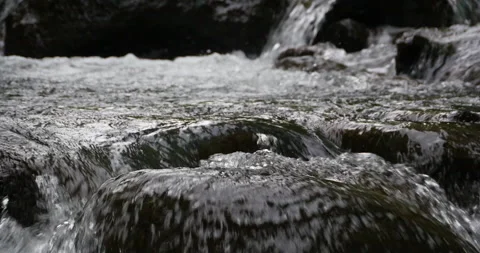 Rainforest Jungle Stream Close Up Cascading Water Floating Over River Rocks Stock Footage 137623771