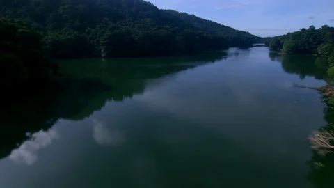Rainforest Lake (162) Vídeos de archivo 93663583