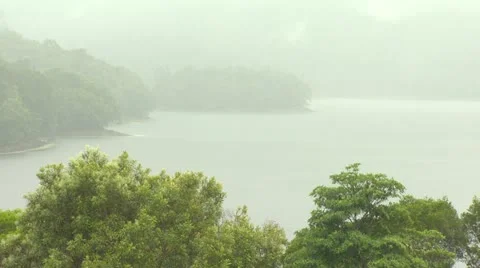 Rainforest Lake Stockbeeldmateriaal 12468966