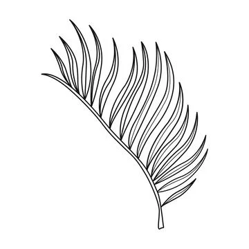 Rainforest leave palm foliage Stock Illustration