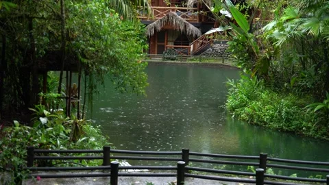 Rainforest Lodge and Pond in Mindo Ecuador Stock Footage 336795855