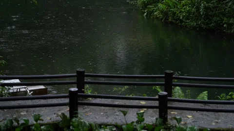 Rainforest Lodge and Pond in Mindo Ecuador Stock Footage 336795923