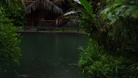 Rainforest Lodge and Pond in Mindo Ecuador Stock Footage 336795977
