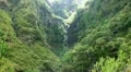 Rainforest Madeira 20110426 133015 HD Footage