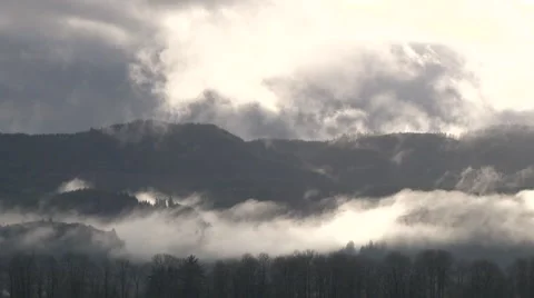 Rainforest Micro Climate Time Lapse Video stock 44828829