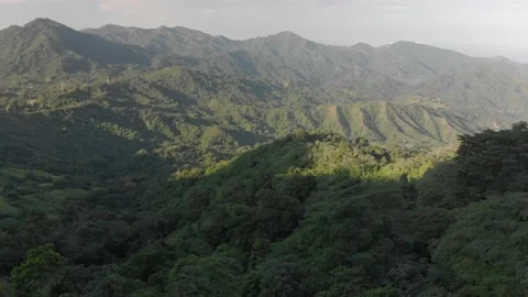 Rainforest at Minca, Colombia Stock Footage 232718455