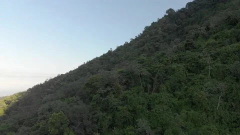 Rainforest at Minca, Colombia Video stock 232719224