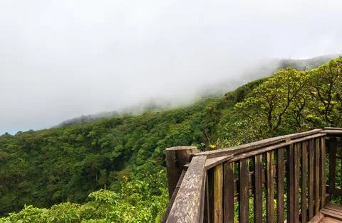 Rainforest in Mombacho volcano viewpoint Stock Photos