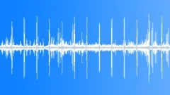 Rainforest morning in the canopy rousing with flocks of birds HD 24bits/96KHzSound Effect