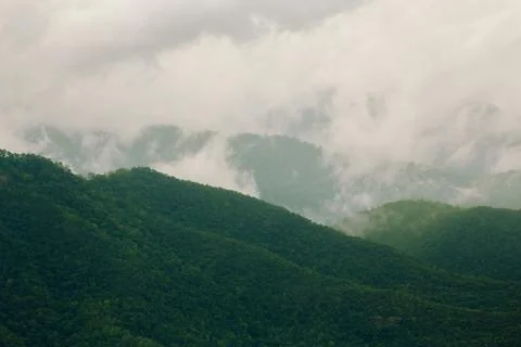 Rainforest mountains on cloudy days. Stock Photos