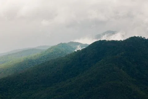 Rainforest mountains on cloudy days. Stock Photos