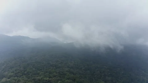 Rainforest in the mountains through the clouds Stock Footage 274227965