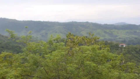 Rainforest Moutain View Stock Footage 81228020