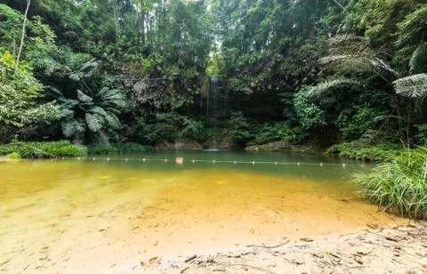 Rainforest natural pool Stock Photos