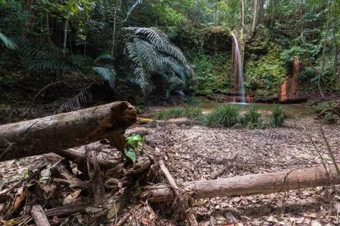 Rainforest natural pool Foto stock