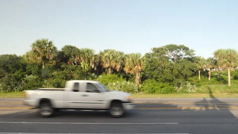 Rainforest next to highway. Stock Footage 162310260