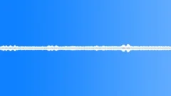 Rainforest Night - Loop Sound Effect