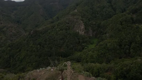 Rainforest pan up Stock Footage 297714185