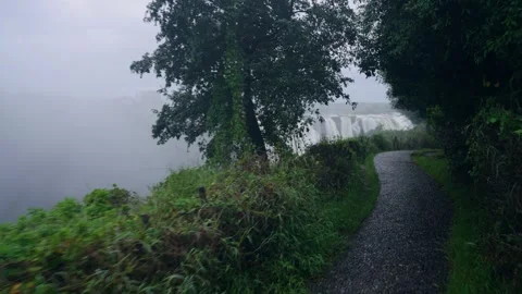 Rainforest path leading toward Victoria Falls, the falls glimpsed beyond Video stock 345521130