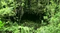 Rainforest pathway 20110429 150145 HD Footage