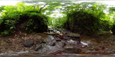 Rainforest in the Philippines. 360 panorama VR. 8k video. Vidéo 203105903