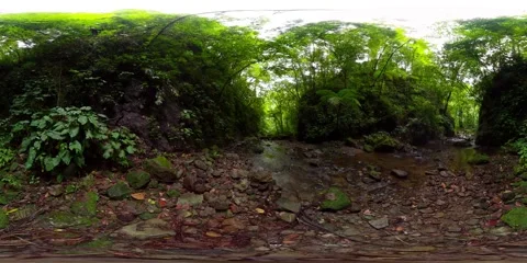 Rainforest in the Philippines. 360 panorama VR. 8k video. Vidéo 231950260