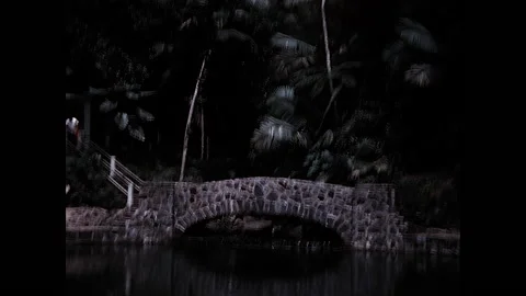 Rainforest Pool 1963 Stock Footage 232183588