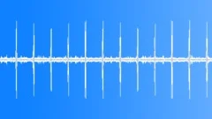 Rainforest rich dense fauna HD 24Bits/96KHzSound Effect