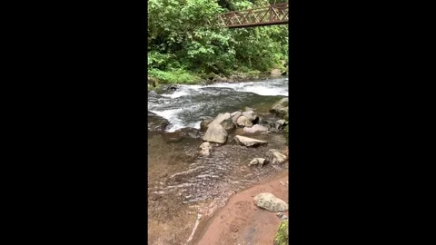 Rainforest River 04 - Slow Motion Vertical Video stock 282747487
