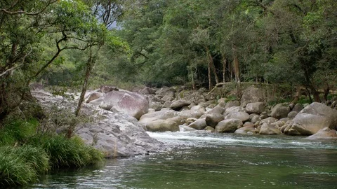 Rainforest with river and rocks slow motion Stock Footage 112367184