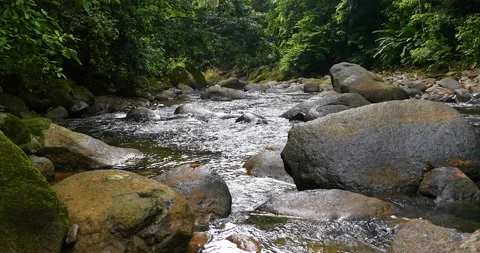 Rainforest River Cascading Water Through Shaped Rocks In Lush Green Jungle Stock Footage 137638889