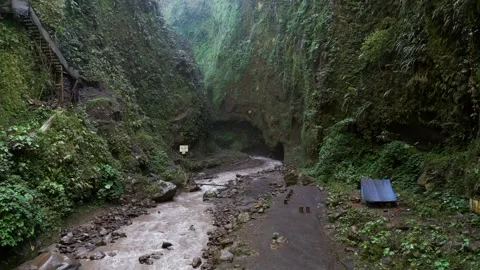Rainforest River Corridor in East Java Indonesia Carved Between Steep Rock Vídeos de archivo 328620252