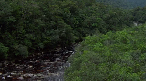 Rainforest River Stock Footage 39909987