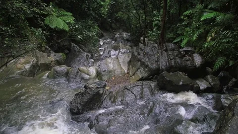 RAINFOREST-RIVER 库存影片 83225133