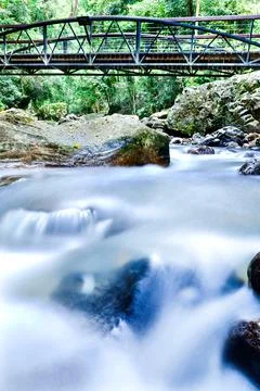 Rainforest river Stock Photos