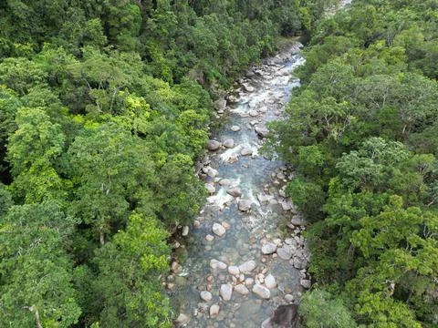 Rainforest River Stock Photos