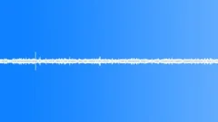 RainforestSound Effect